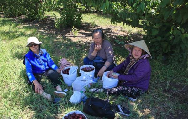 Group of women sitting in the shade, eating fruit
